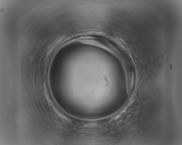 X0000056320097200508291232