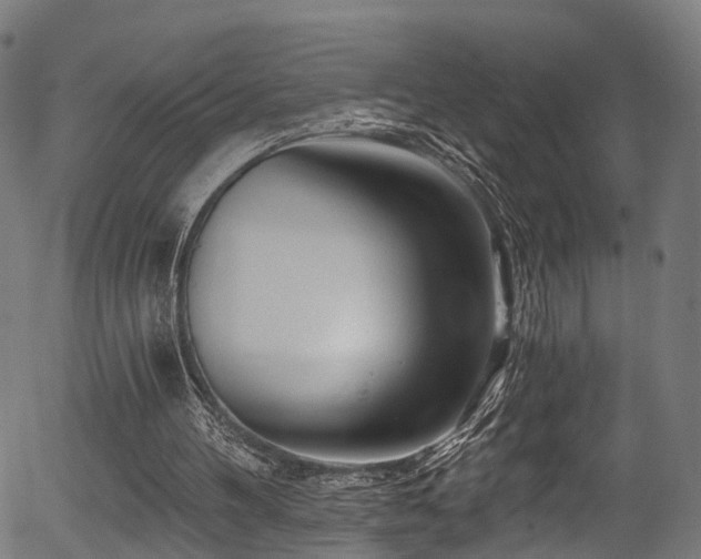 X0000056320100200508291232