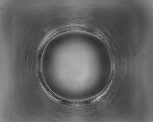 X0000056320101200508291232
