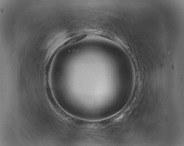 X0000056320103200508291232