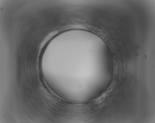 X0000056320104200508291232