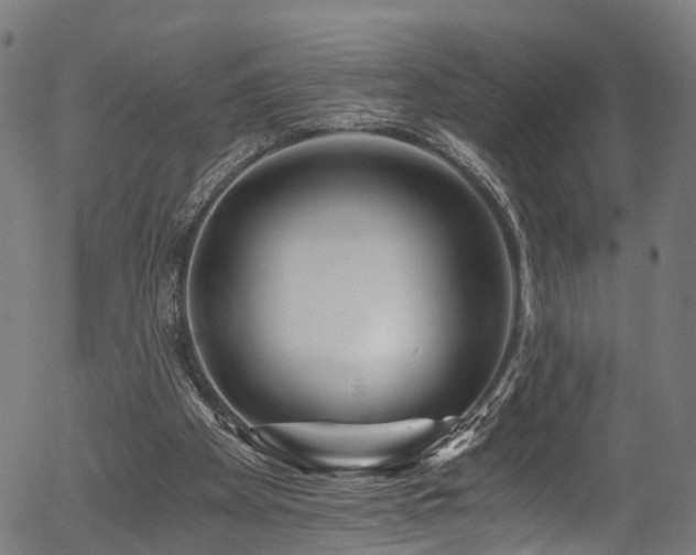X0000056320105200508291232