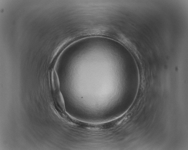 X0000056320107200508291232