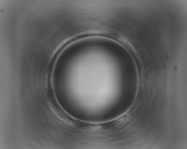 X0000056320108200508291232