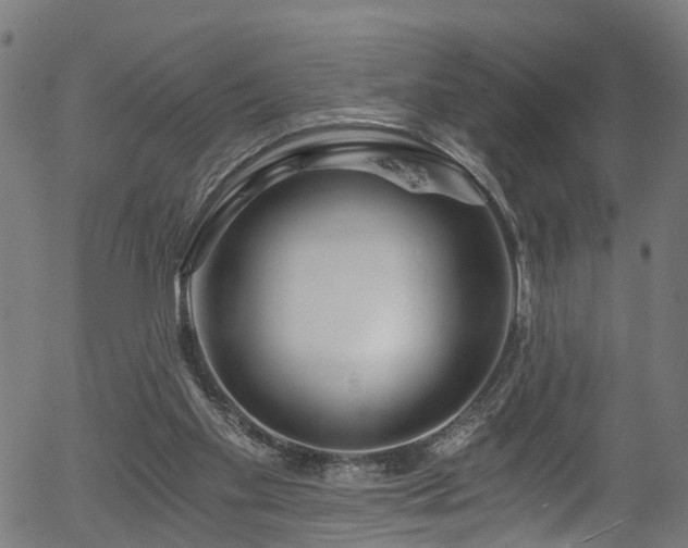 X0000056320109200508291232