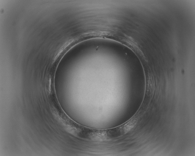X0000056320110200508291232