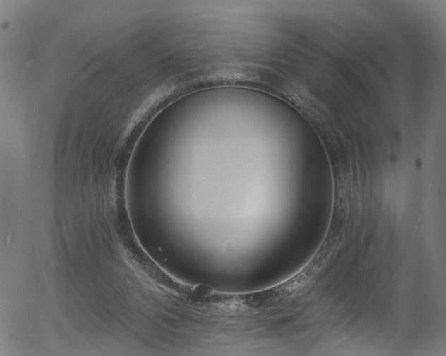 X0000056320112200508291232