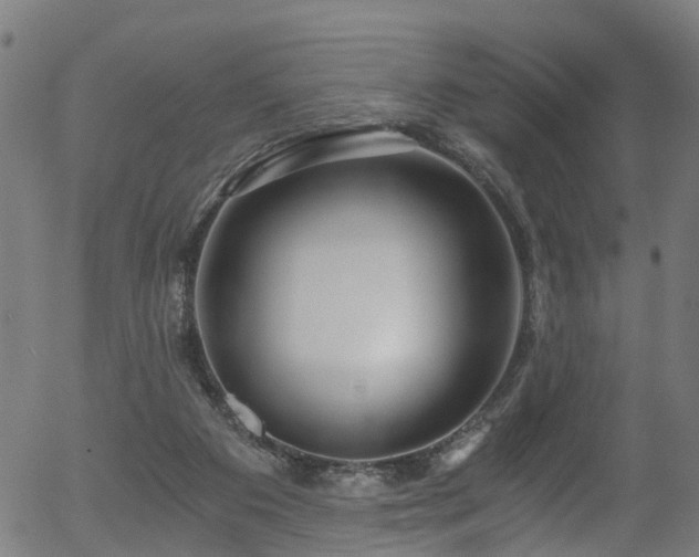 X0000056320113200508291232