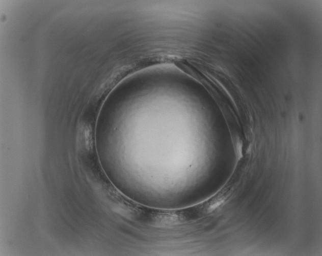 X0000056320123200508291231