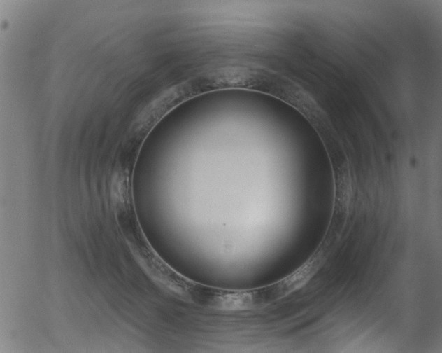 X0000056320126200508291231