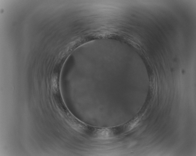 X0000056320127200508291231