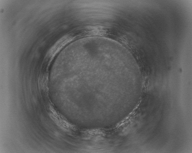 X0000056320146200508291230