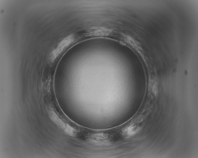 X0000056320153200508291230