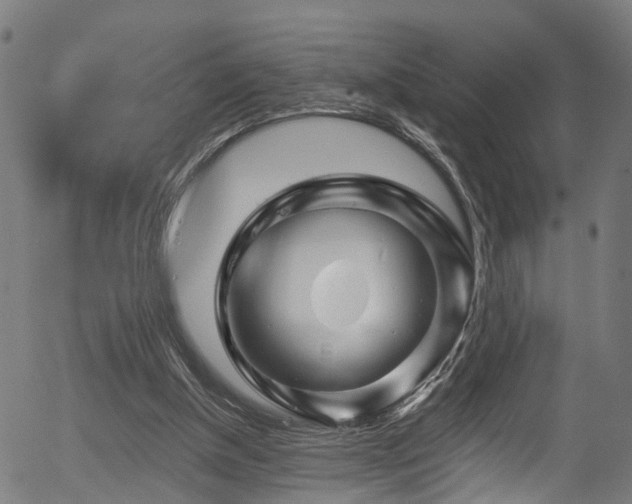 X0000056320154200508291230