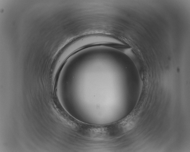 X0000056320160200508291230