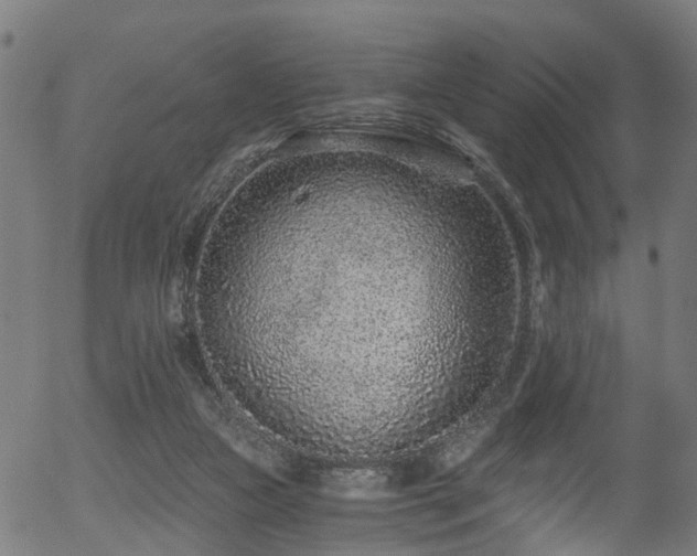 X0000056320161200508291230