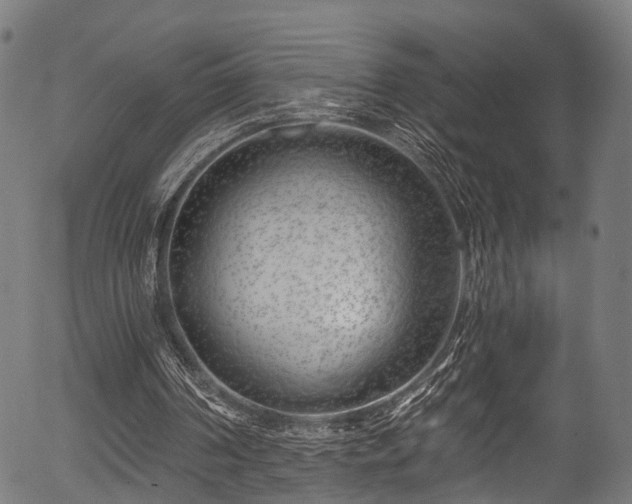 X0000056320194200508291230