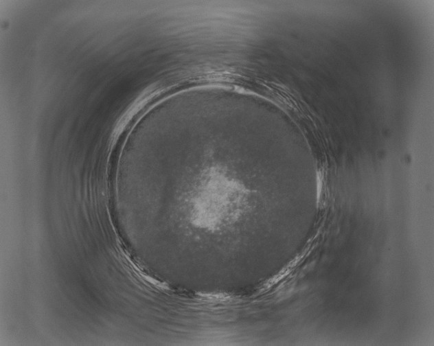 X0000056320195200508291230