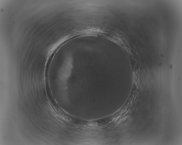 X0000056320196200508291230