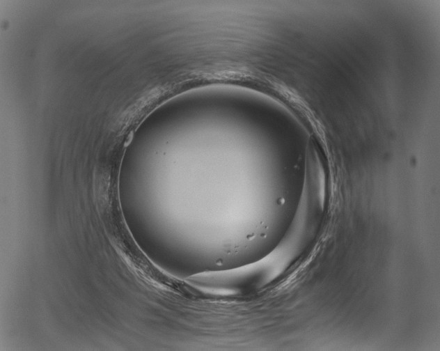 X0000056320201200508291230