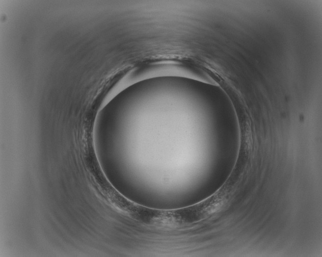 X0000056320211200508291230