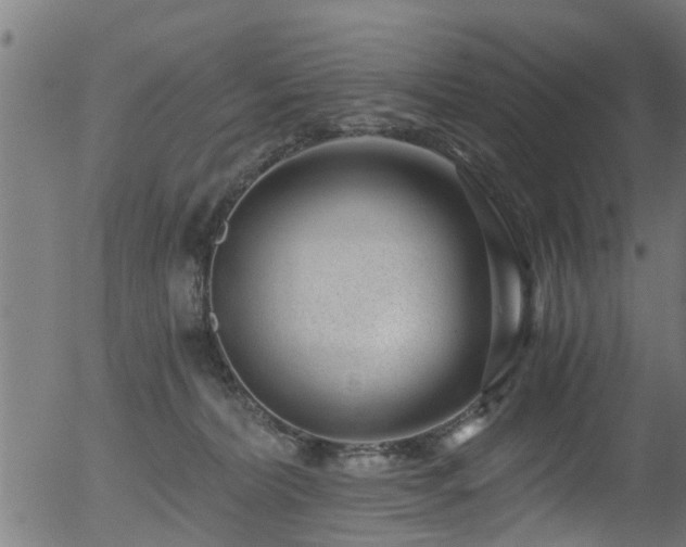 X0000056320228200508291230