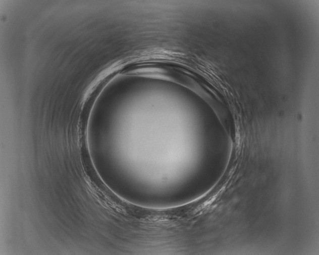 X0000056320244200508291229