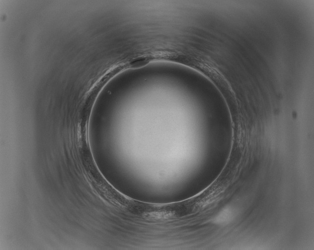 X0000056320251200508291229