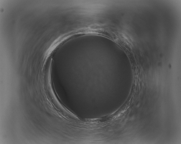 X0000056320295200508291228