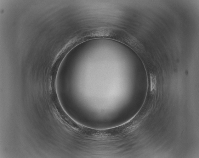 X0000056320300200508291228