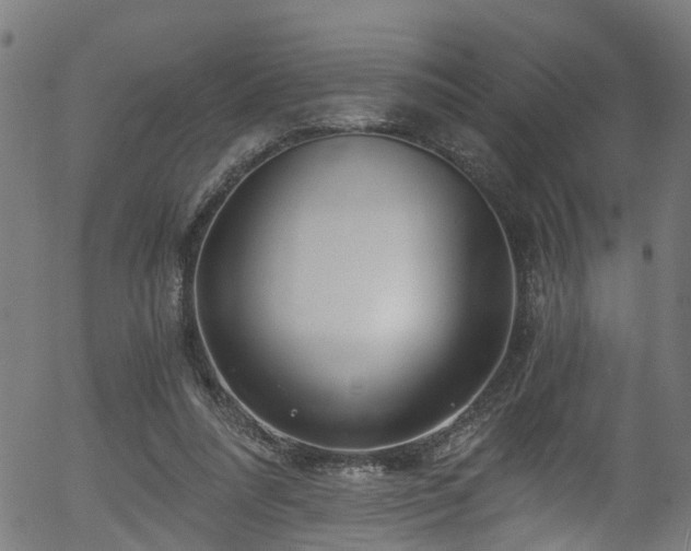 X0000056320304200508291228