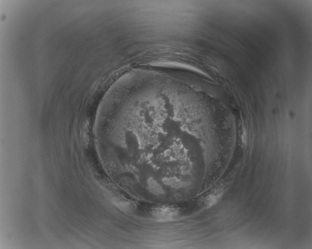 X0000056320319200508291228