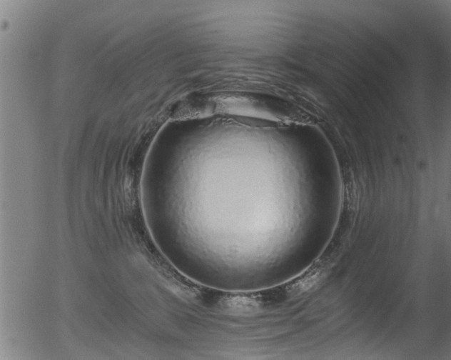 X0000056320327200508291228
