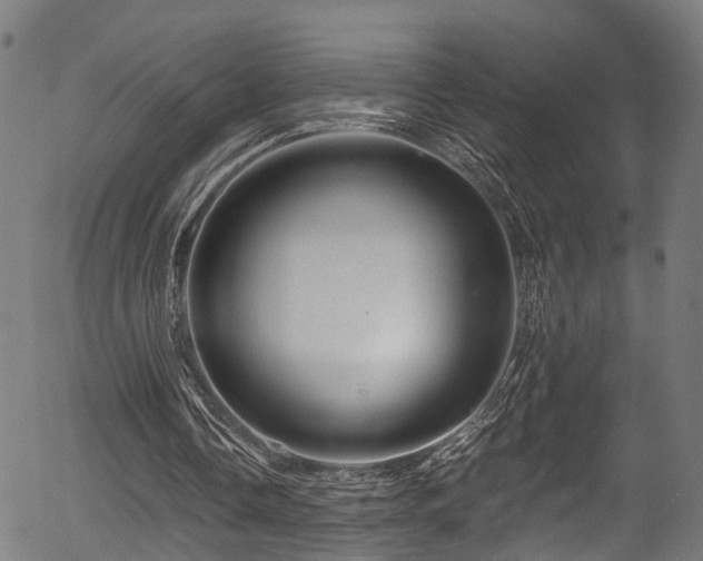 X0000056320338200508291227