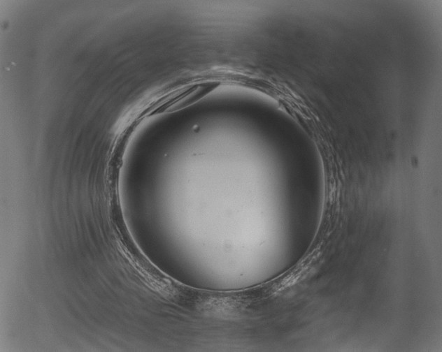 X0000056320341200508291227