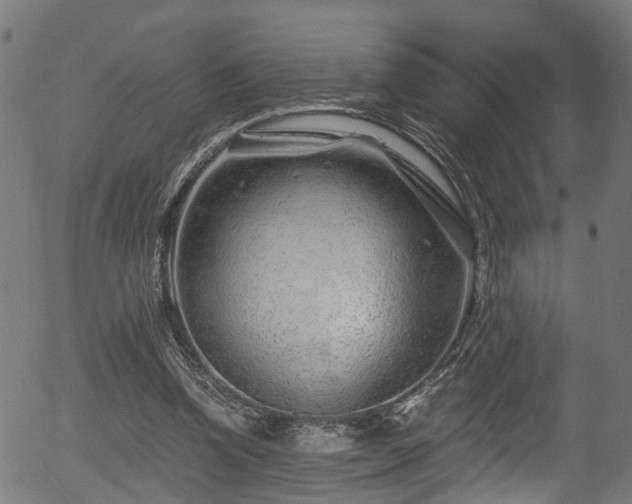 X0000056320346200508291227