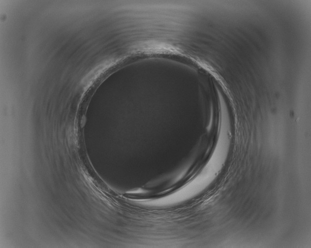 X0000056320391200508291227