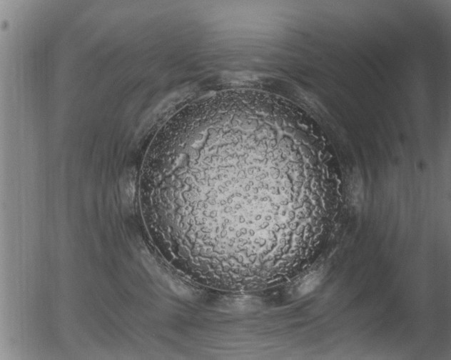 X0000056320427200508291226