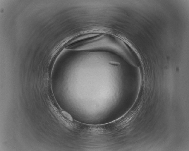 X0000056320437200508291225