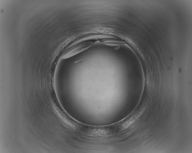 X0000056320445200508291226