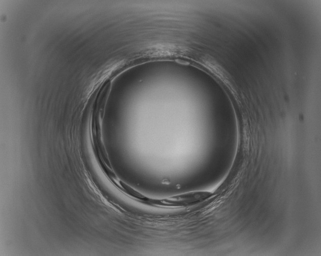 X0000056320485200508291225