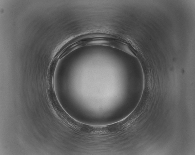 X0000056320536200508291224