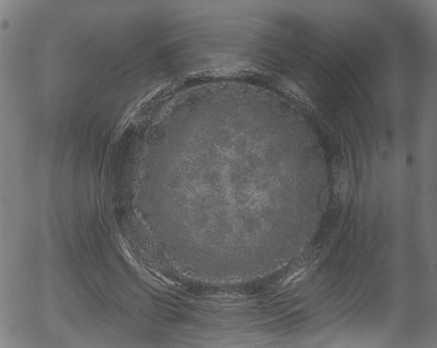 X0000056320542200508291224