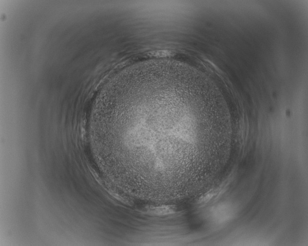 X0000056320553200508291224