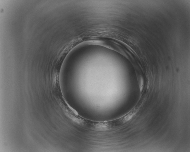 X0000056320574200508291225