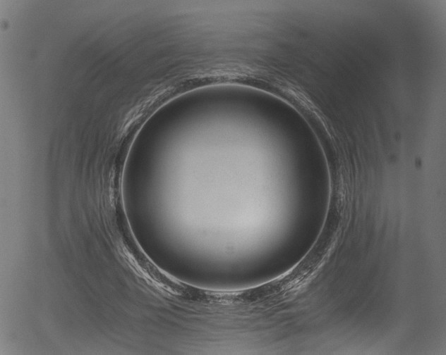 X0000056320585200508291224