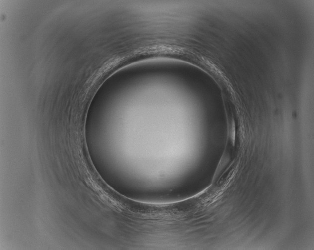 X0000056320625200508291222