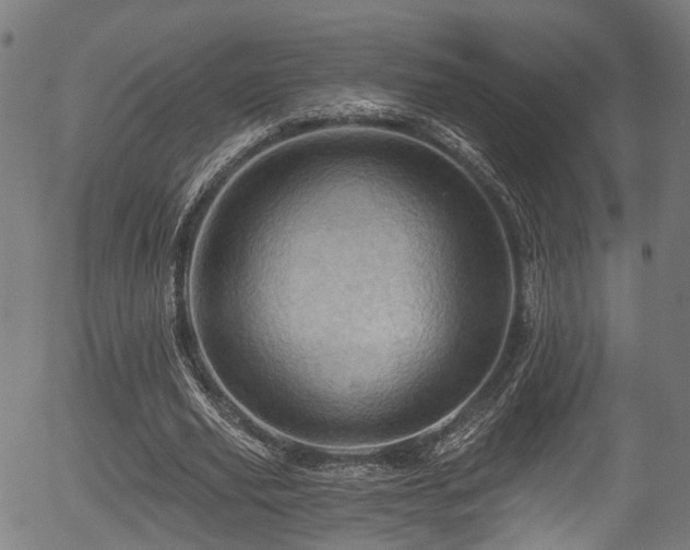 X0000056320629200508291222
