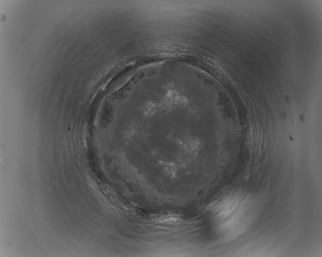 X0000056320643200508291222