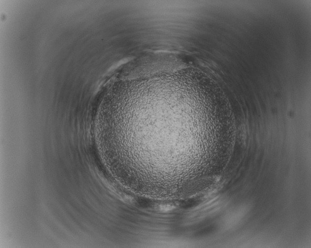 X0000056320662200508291223
